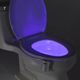 GlowBowl, $17